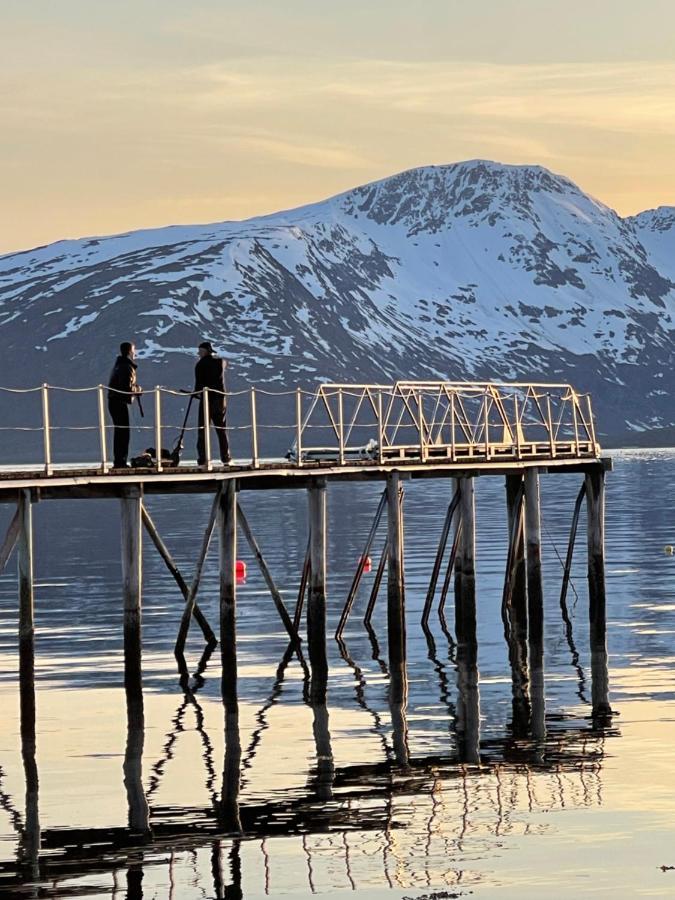 Skittenelv Lodge & Camping Tromsø Eksteriør bilde